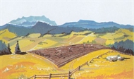 Bakgrund 42x30cm