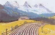 Bakgrund 42x30cm