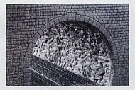 Tunnelrör