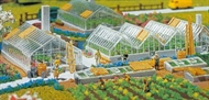 Handelsträdgård