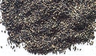 Ballast 100 gram N/Z