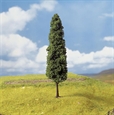 Sump-cypress 3 st, ca 18 cm H0 Sump-cypress 3 st, ca 18 cm H0