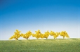 Forsythia 6 st, ca 4 cm H0/N