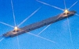 Ljuslist Längd ca 18 cm Ljuslist Längd ca 18 cm