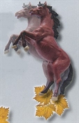 5119vi