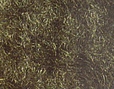 171626