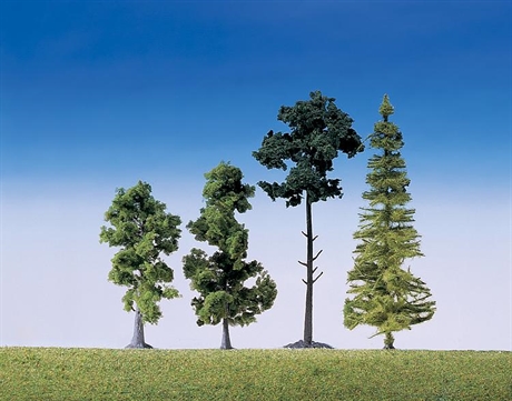 Blandade skogsträd 15 st, ca 9 - 15 cm H0/N